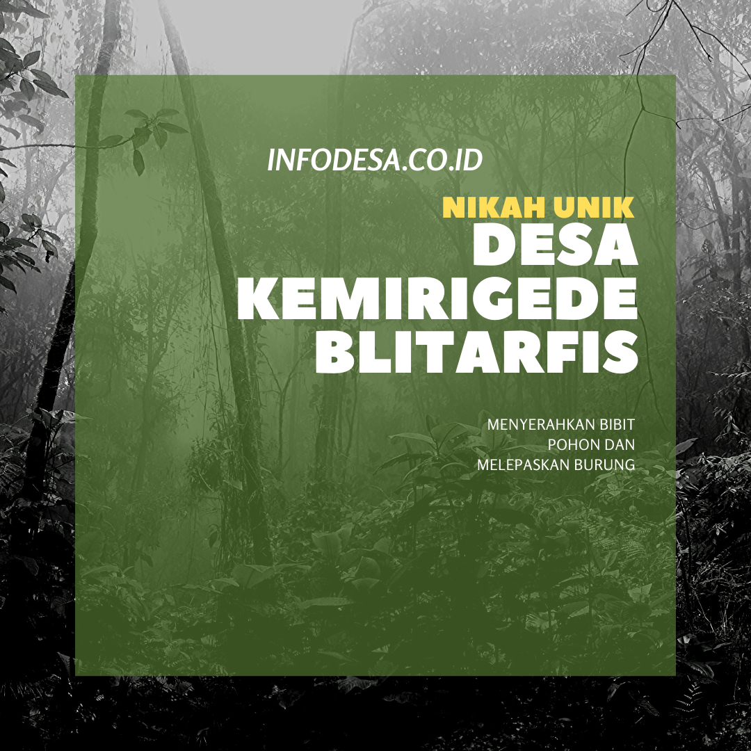Nikah Unik di Blitar Indonesia
