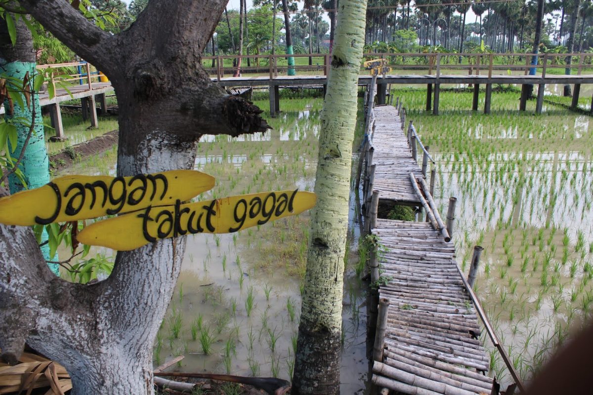Bumdes Lontar Sewu, Manfaatkan 3600 Pohon Lontar Jadi Wisata Desa