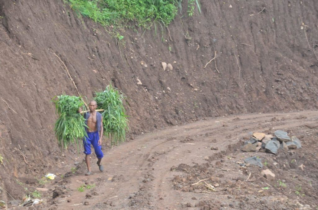 Jalan Tembus Desa Tlogosari dan Alastengah Terobos Bukit Penghalang