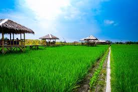 Desa Impian dan Ideal Tahun 2020 Versi InfoDesa