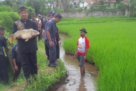 Kabupaten Bandung Catat Rekor Desa Mandiri Terbanyak