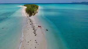 Benarkah Dana Desa Bisa untuk Pelatihan Digital, Begini Penjelasannya